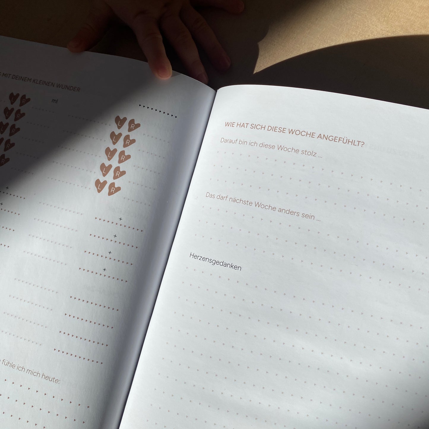 Hallo, kleines Wunder - Dein Begleitjournal